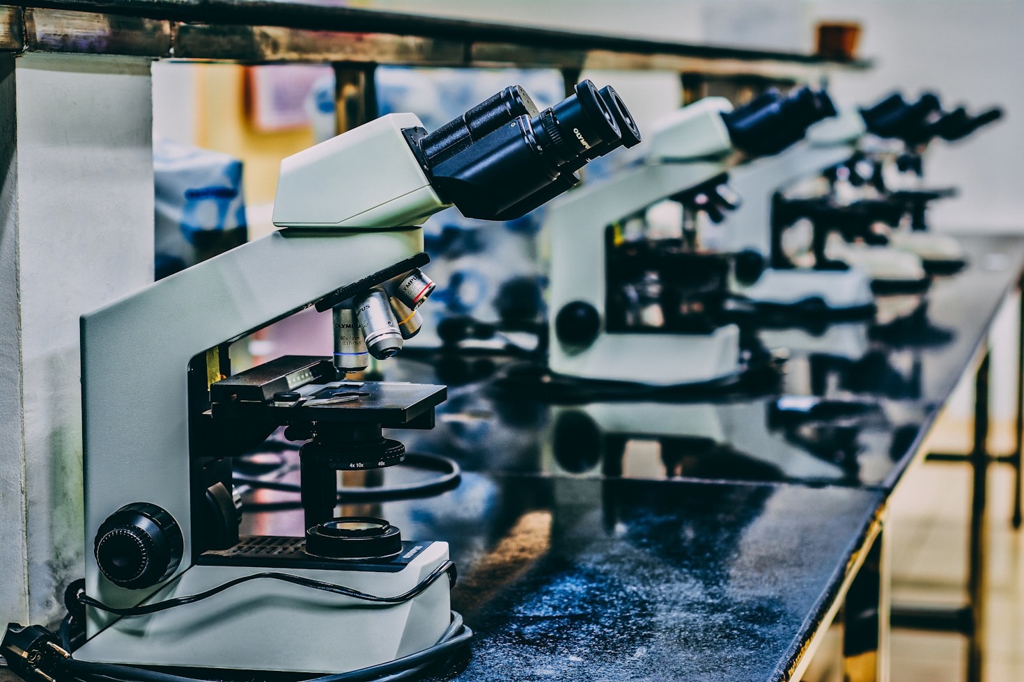 Bioteknologi og miljømæssig bæredygtighed